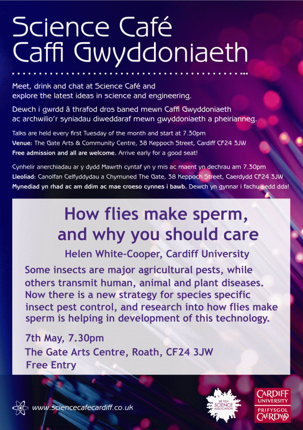 Science Cafe Helen White-Cooper